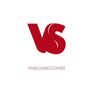 logo ViniSound
